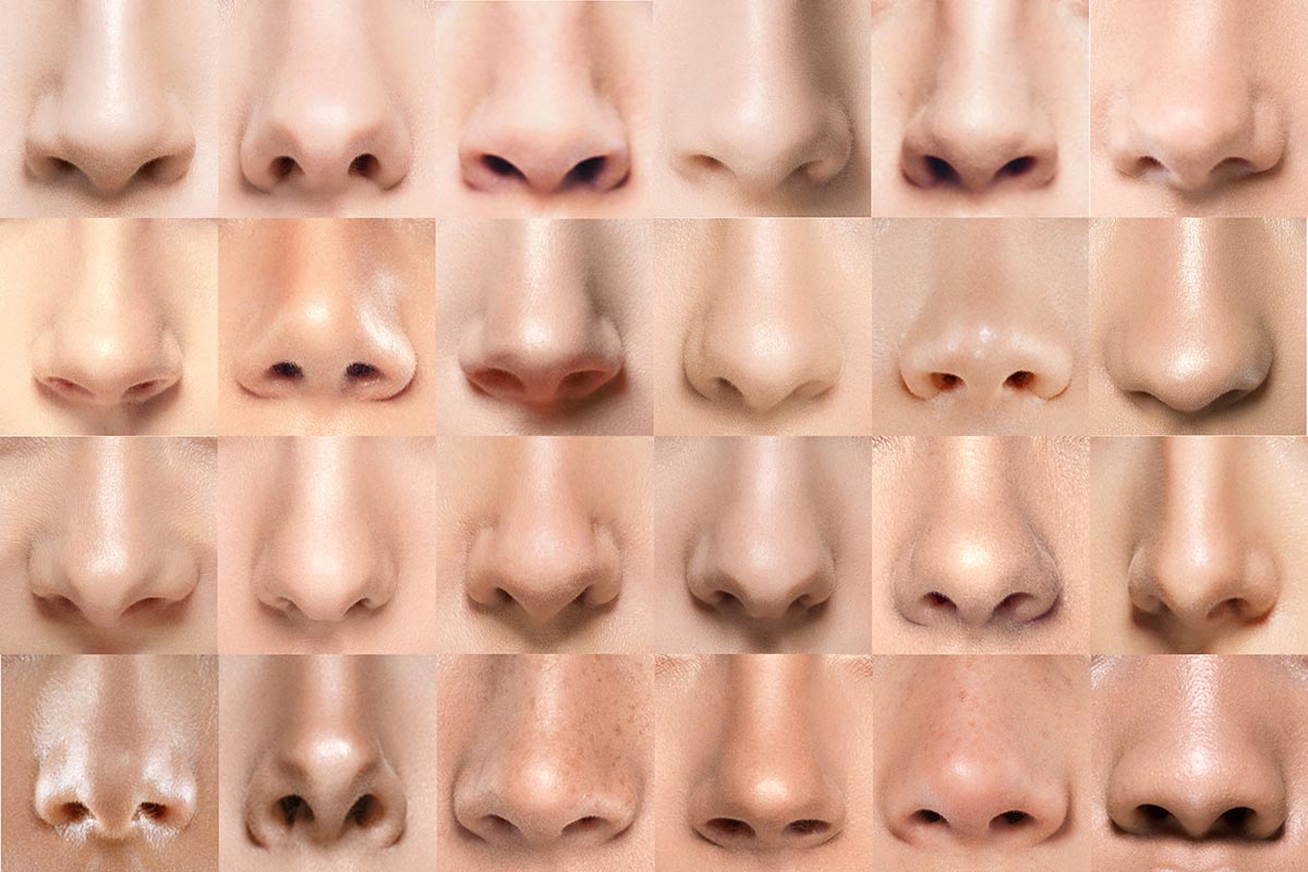 عکس انواع عمل بینی